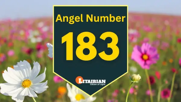 천사 번호 183 의미와 의미