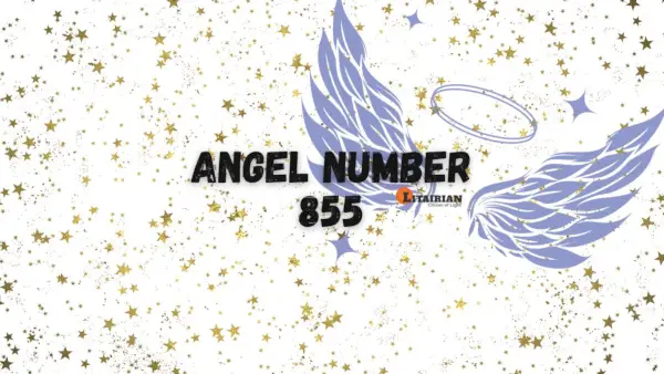 Angelo numero 855 Significato e significato