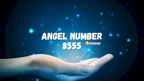 الملاك رقم 8555 المعنى والأهمية