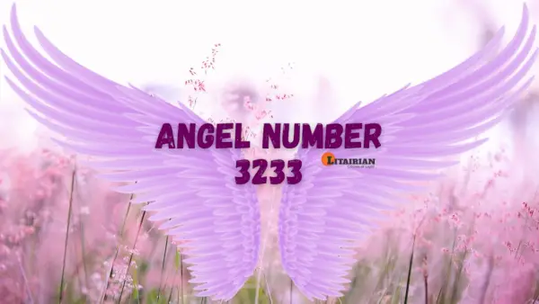 Significado y significado del número de ángel 3233