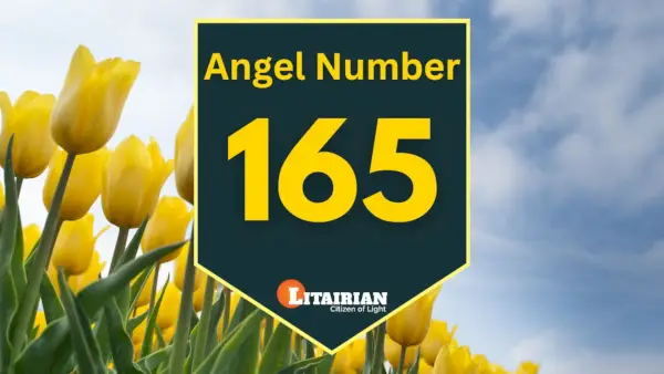Engel nummer 165 Betekenis en betekenis