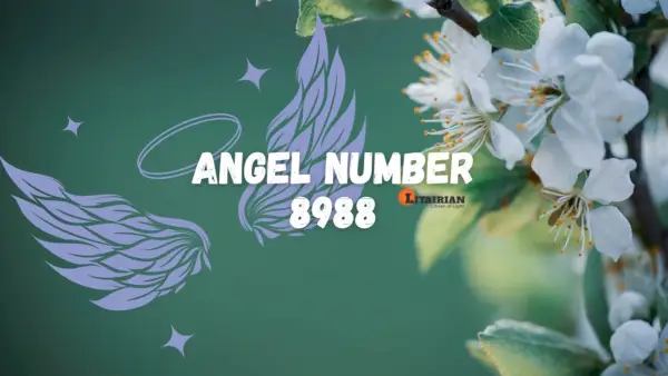 Angelo numerio 8988 prasmė ir reikšmė