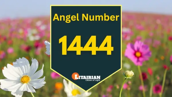 Engel nummer 1444 Betydning og betydning