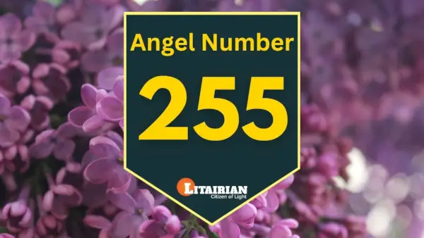Engel nummer 255 Betekenis en betekenis