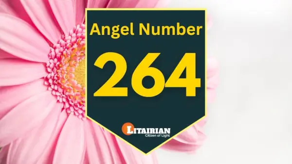Eņģeļa numura 264 nozīme un nozīme