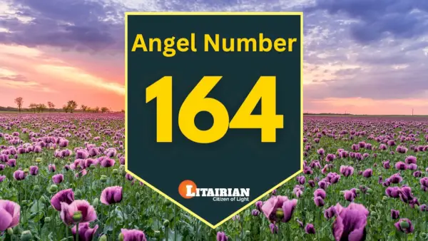 Melek Sayısı 164 Anlamı Ve Önemi
