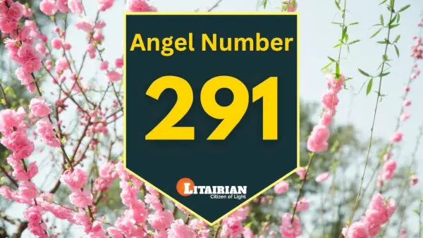 الملاك رقم 291 المعنى والأهمية