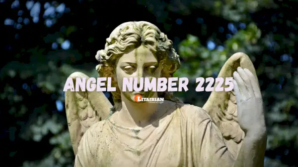 Significado y significado del número de ángel 2225