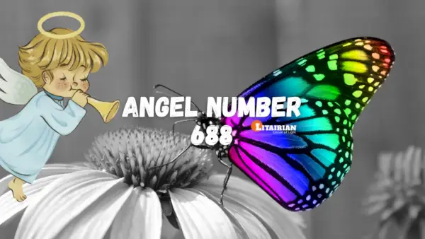 Melek Sayısı 688 Anlamı Ve Önemi