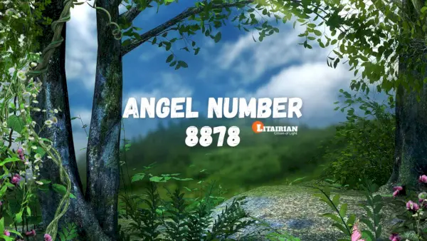 Nummer 8878 Betekenis en betekenis