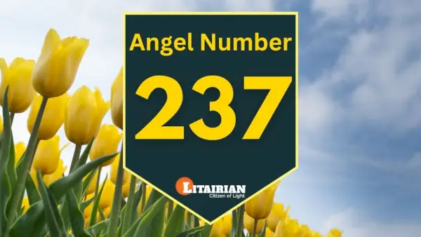 Significado e importância do anjo número 237