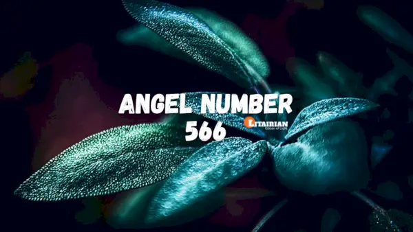 Ангел номер 566 Значение и значение