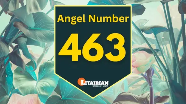 Melek Sayısı 463 Anlamı Ve Önemi