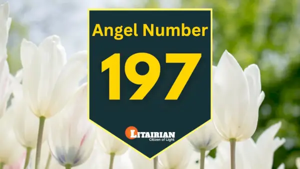 Anjel Číslo 197 Význam a význam