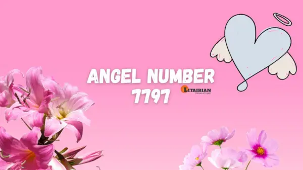 Melek Numarası 7797 Anlamı Ve Önemi