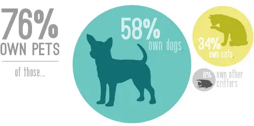 Štatistiky Domáce zvieratá