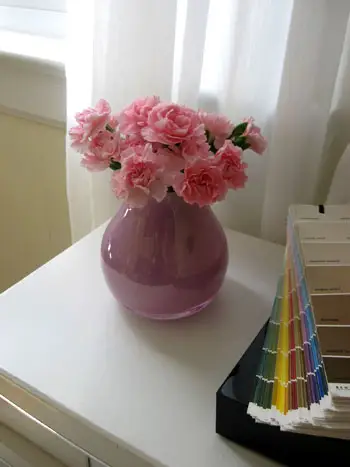 Budget Blooms: 예쁜 핑크색