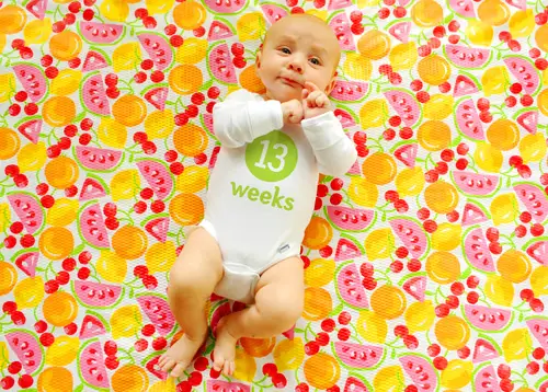 veintiséis 13 semanas