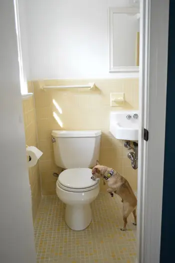 Kopalnica Pred polno