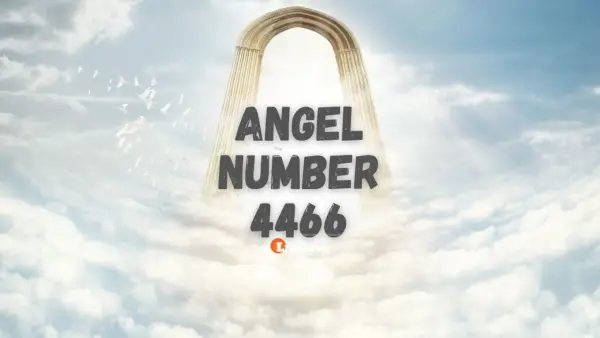 Melek Numarası 4466 Anlamı Ve Önemi