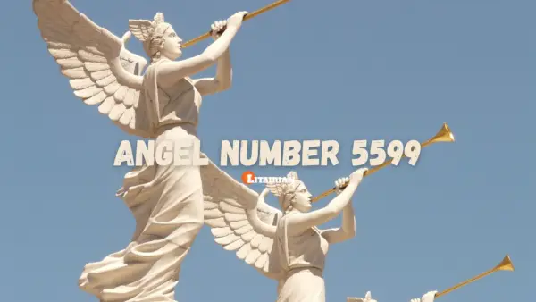 Significado y significado del número de ángel 5599