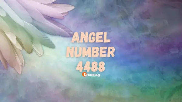 천사 번호 4488 의미와 의의