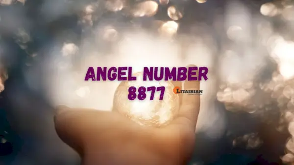 Anděl číslo 8877 Význam A Význam
