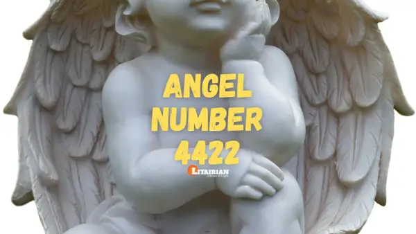 Melek Numarası 4422 Anlamı Ve Önemi
