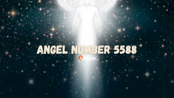 Numărul de înger 5588 Semnificație și semnificație