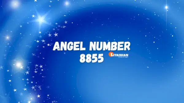 Numărul de înger 8855 Semnificație și semnificație