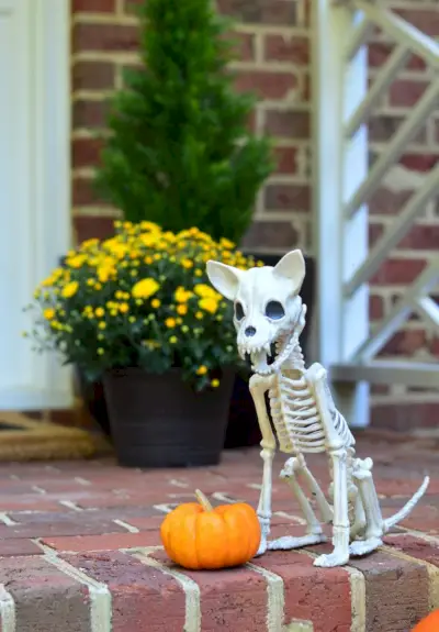 Halloween Veranda Chihuahua Dog Skeleton Decor