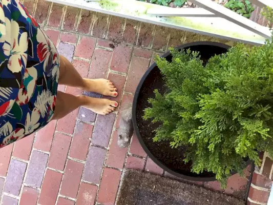 Predná veranda Osviežte pred špinavou podložkou