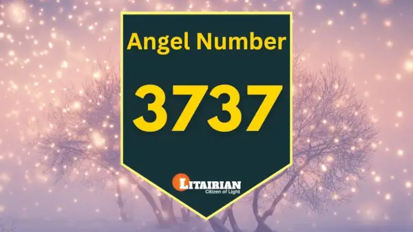 Nummer 3737 Betekenis en betekenis