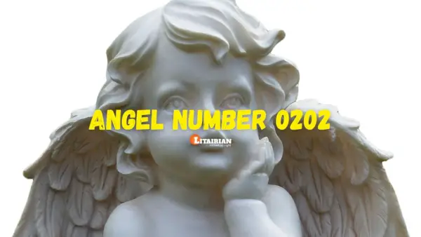Anjo Número 0202 Significado e importância