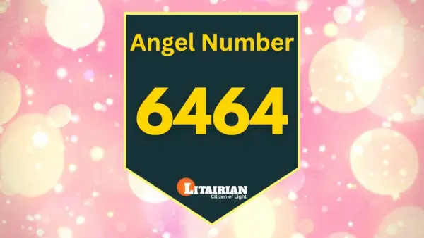 천사 번호 6464 의미와 의미