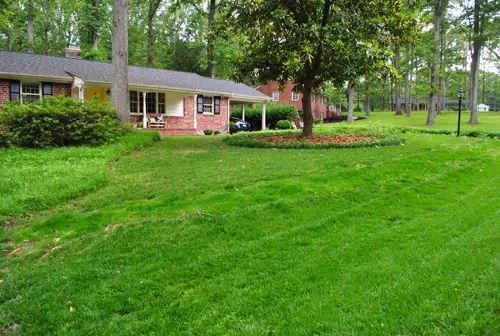 Gras 17 Na Vanuit Straathoek