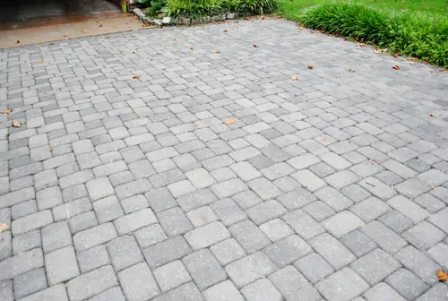 Árvore capinada depois