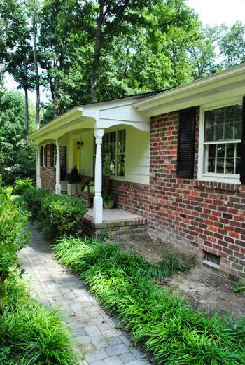 Árvore depois de cheia