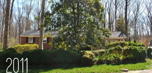 Onze tuinmake-over