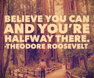 Teddy Roosevelt quote 