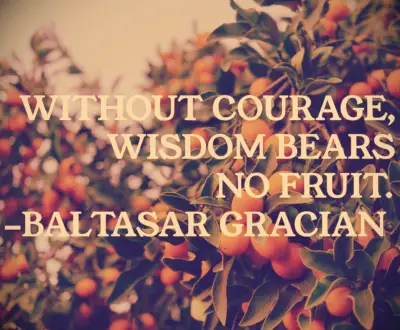 Baltasar Gracian courage quote 