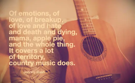 An acoustic guitar leaning against a white pillow with leaves embroidered on it