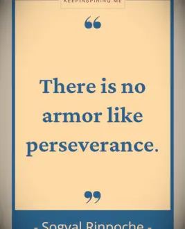 Sogyal Rinpoche quote 