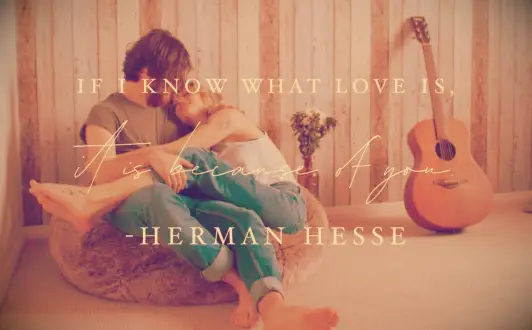 Herman Hesse soulmate quote If I know what love is, it is because of you