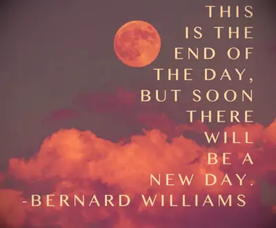 Bertnard Williams goodnight quote 