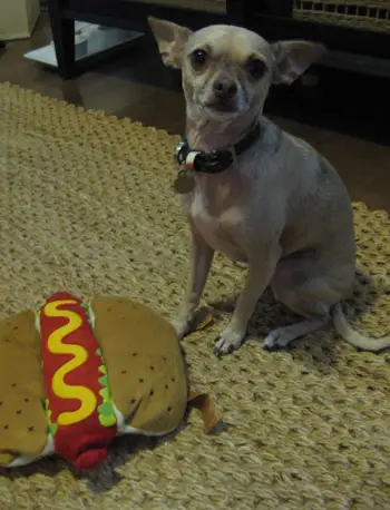 hambúrguer-cachorro-quente3