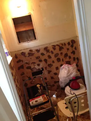 Lily durante a demonstração