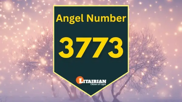 Nummer 3773 Betekenis en betekenis