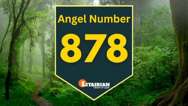 Engel nummer 878 Betekenis en betekenis