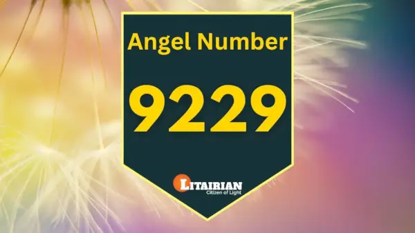 Engel nummer 9229 Betekenis en betekenis